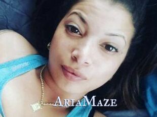 Aria_Maze