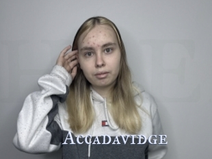 Accadavidge