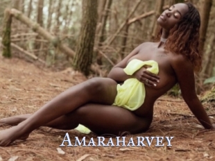 Amaraharvey