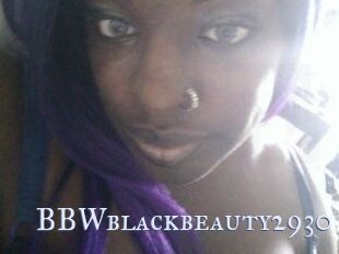 BBWblackbeauty2930