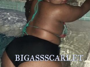 BIGASSSCARLET