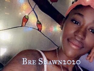 Bre_Shawn2020