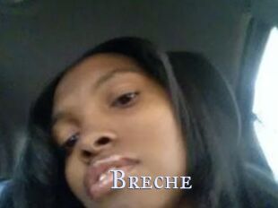 Breche