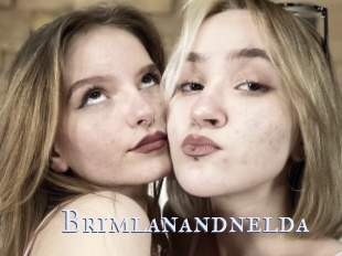 Brimlanandnelda