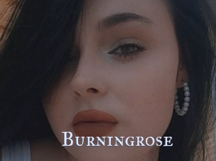 Burningrose