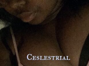 Ceslestrial