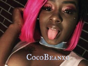 CocoBeanxo