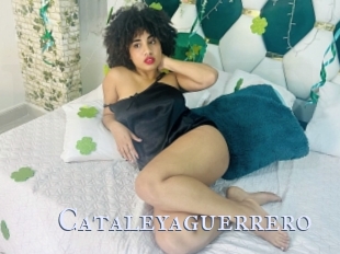 Cataleyaguerrero