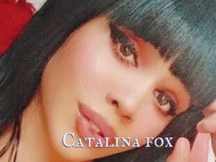 Catalina_fox