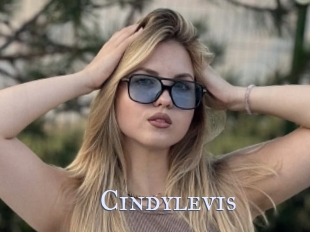 Cindylevis