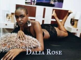 Dalia_Rose