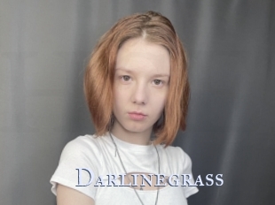 Darlinegrass