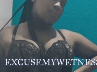 EXCUSEMYWETNESS
