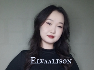 Elvaalison