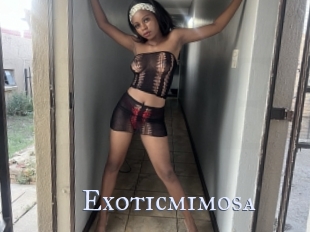 Exoticmimosa