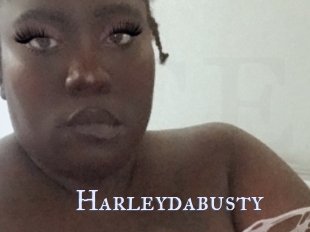 Harleydabusty