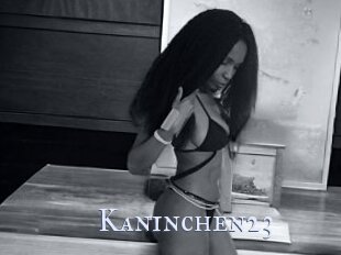 Kaninchen23