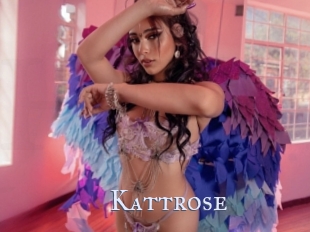 Kattrose