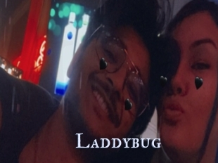 Laddybug