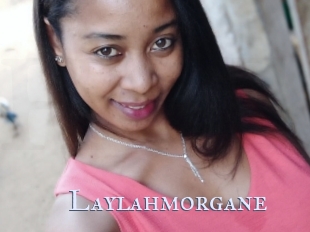 Laylahmorgane