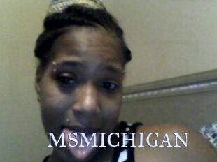 MSMICHIGAN