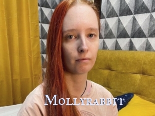 Mollyrabbit