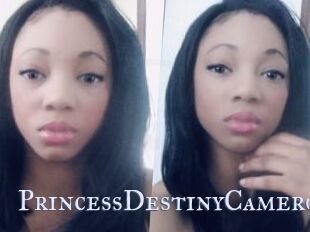 PrincessDestinyCamero