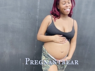 Pregnantbear