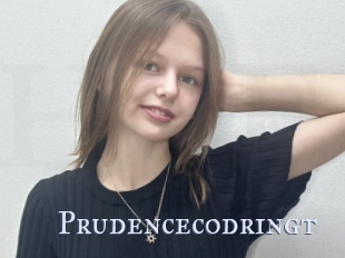 Prudencecodringt