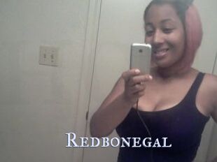 Redbonegal