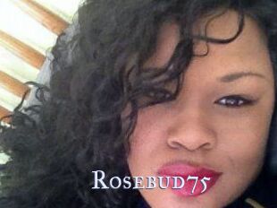 Rosebud75