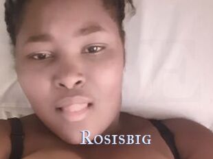 Rosisbig