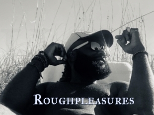 Roughpleasures