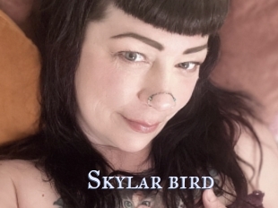 Skylar_bird