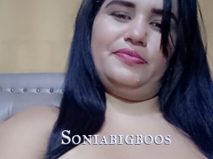 Soniabigboos