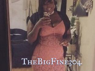 TheBigFine304