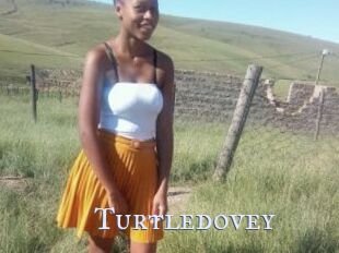 Turtledovey