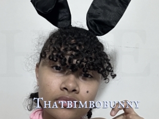 Thatbimbobunny