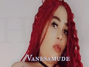 Vanesamude