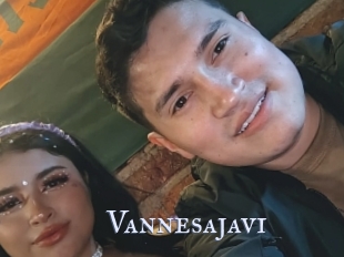 Vannesajavi