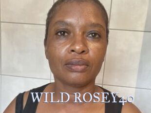 WILD_ROSEY40