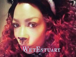 WetEstuary