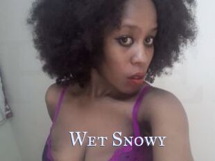 Wet_Snowy