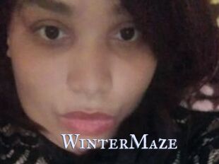 Winter_Maze