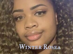 Winter_Rosea