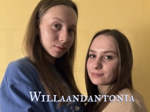 Willaandantonia