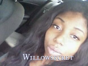 Willow_secret