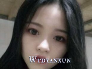 Wtdyanxun